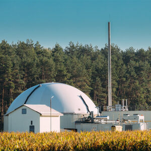 planta de biogas realizada por agua y naturaleza